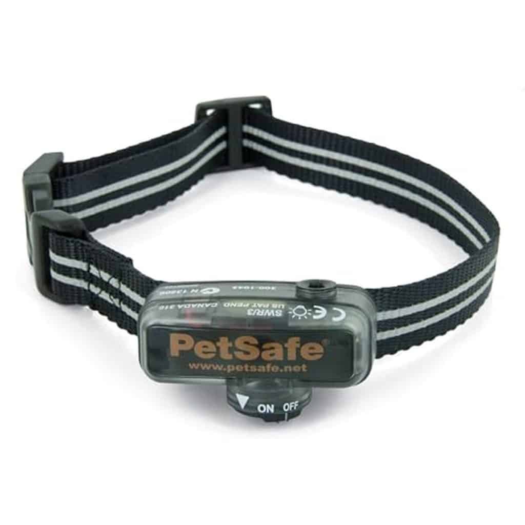 Test : collier anti-fugue PetSafe pour petit chien