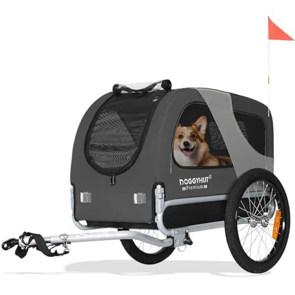 Test de la remorque Tiggo DOGGYHUT 80101 pour chien