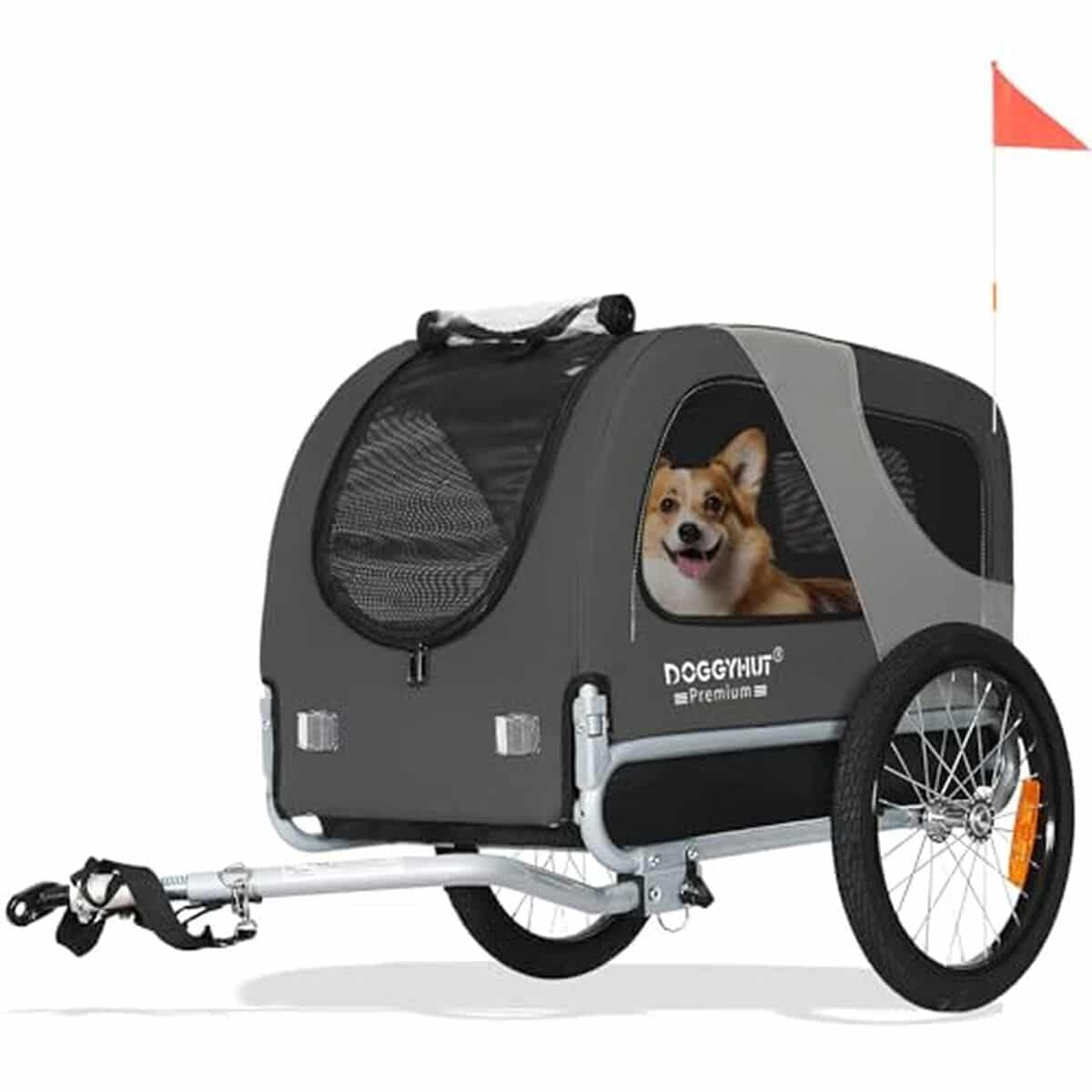 Test de la remorque Tiggo DOGGYHUT 80101 pour chien