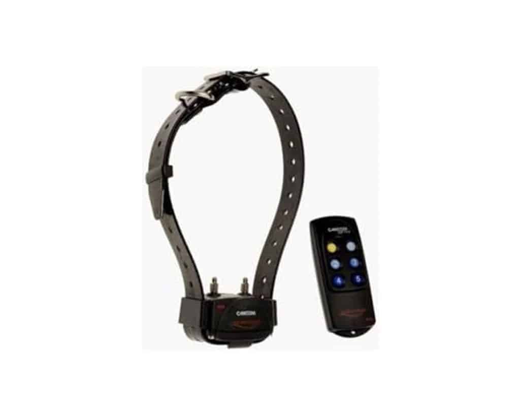 Test du Canicom 200 First de Num'Axes : collier de dressage performant