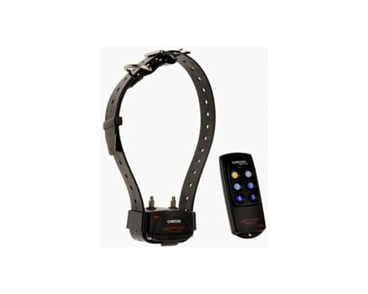 Test du Canicom 200 First de Num'Axes : collier de dressage performant