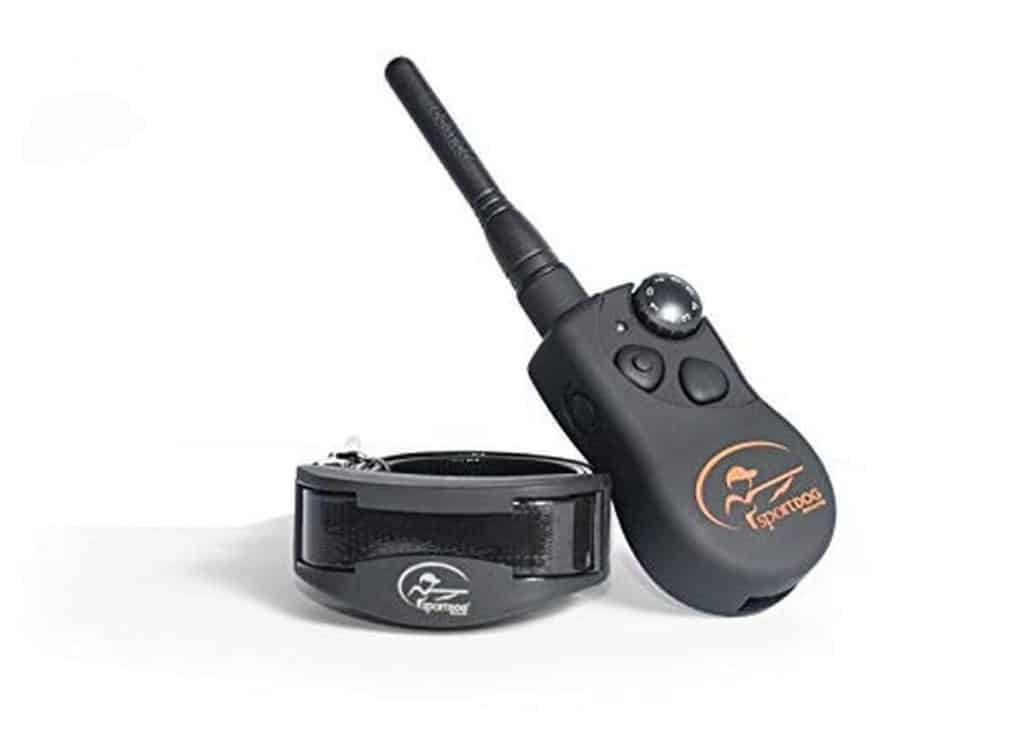 Test du collier SportDOG SportTrainer : dressage à 1200 m