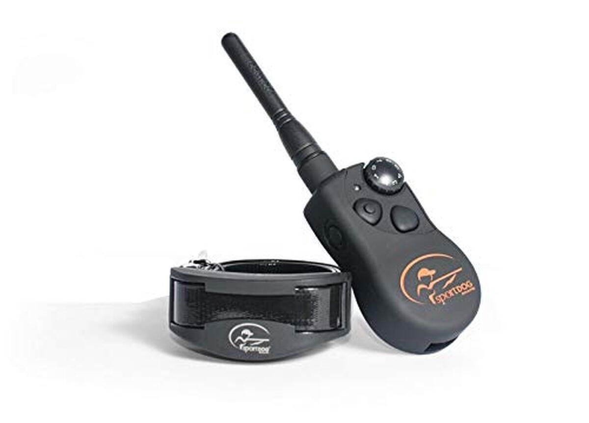 Test du collier SportDOG SportTrainer : dressage à 1200 m