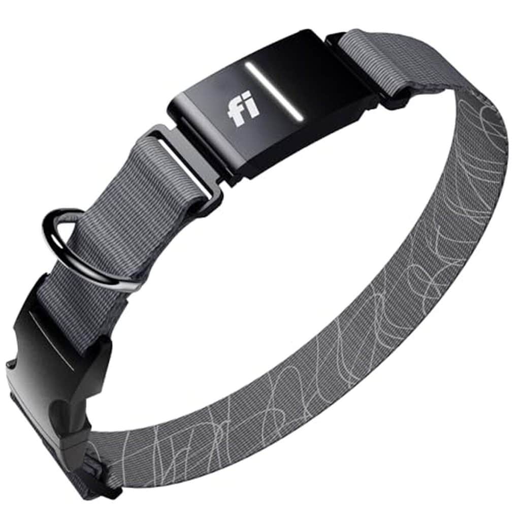 Test du Fi Series 3+ : collier intelligent pour chien avec traqueur GPS et moniteur d'activité