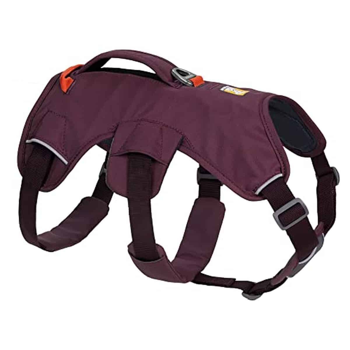 Test du harnais polyvalent Ruffwear Web Master pour chien