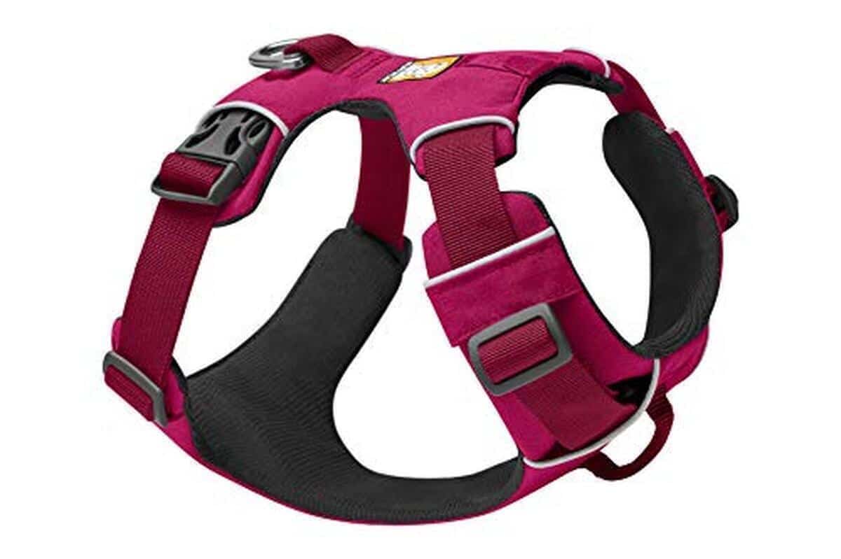 Test du harnais RUFFWEAR Front Range : confort et solidité pour chien