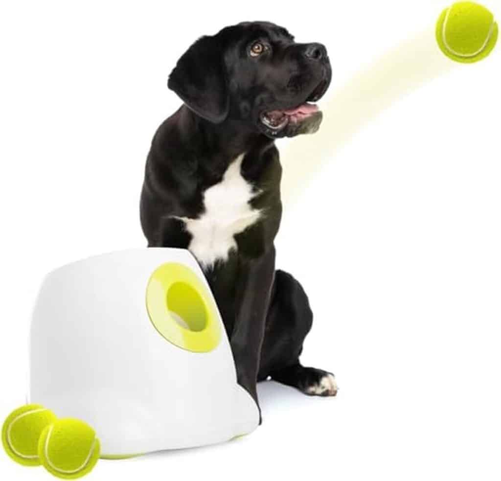 Test du lanceur automatique Hyperfetch pour chiens de All for Paws