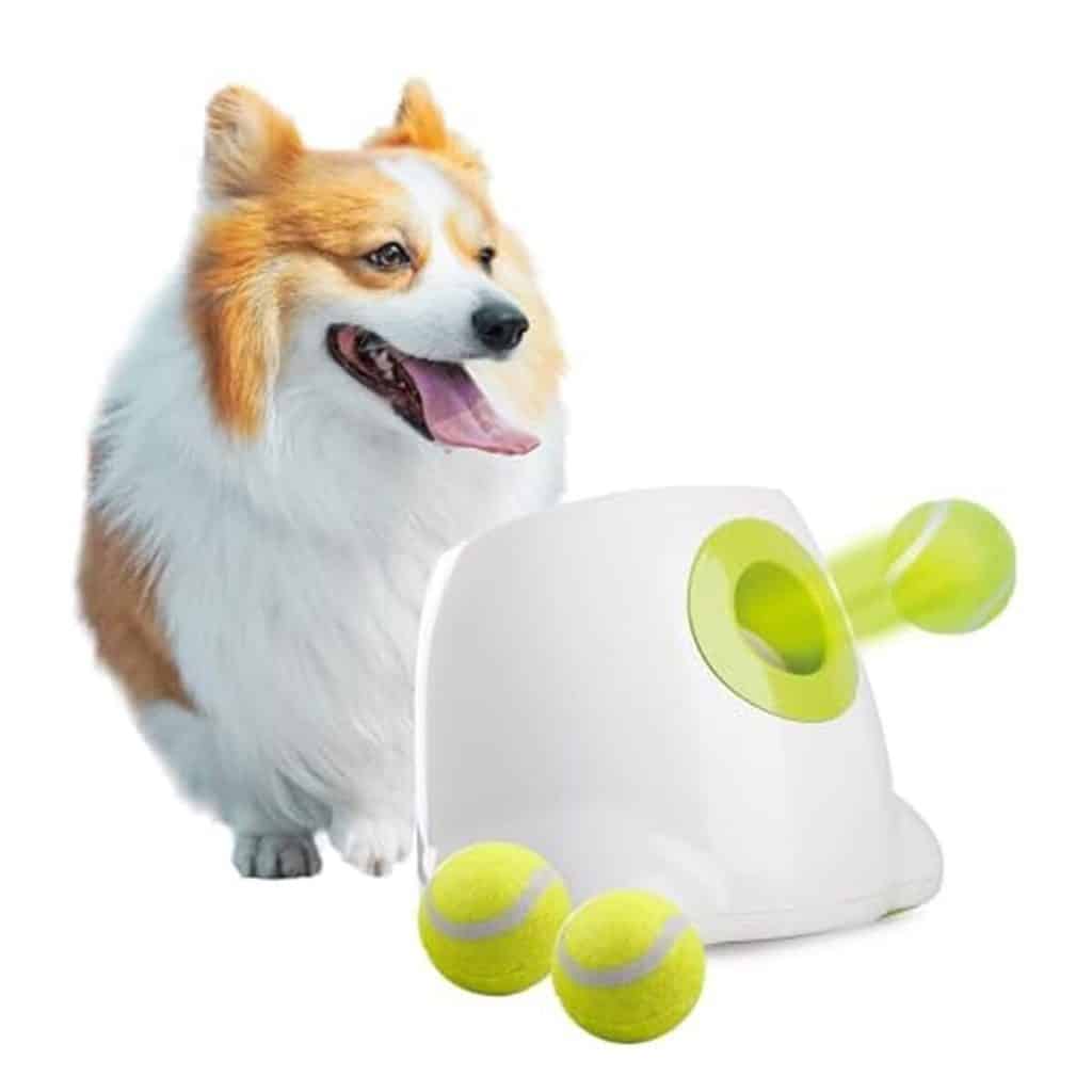 Test du lanceur de balles automatique All For Paws mini