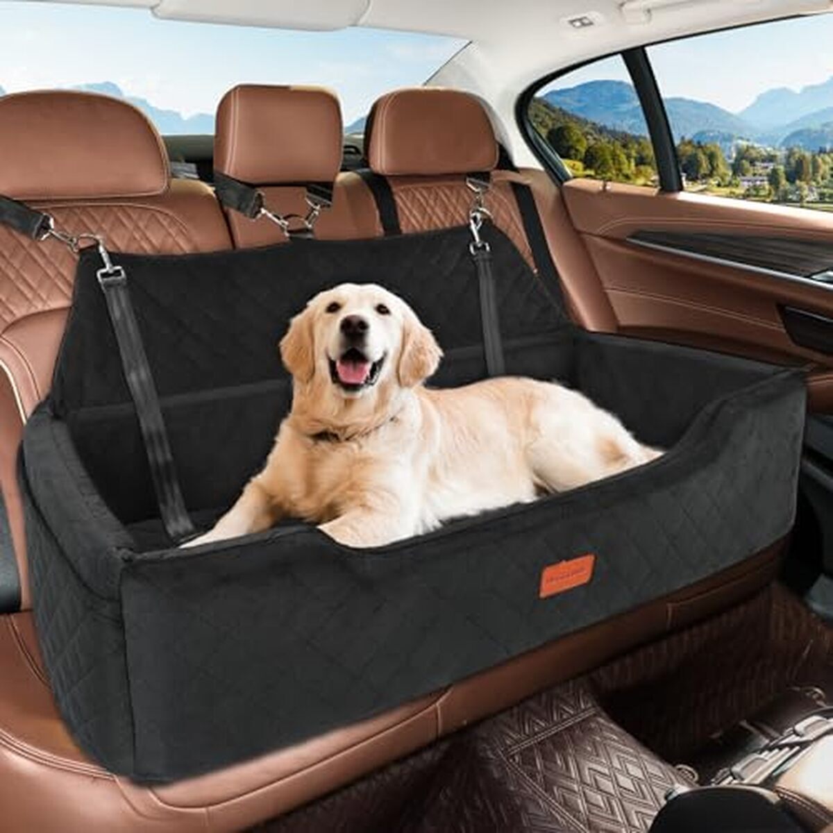 Test du siège auto HEGGCOOE pour grand chien : confort et sécurité
