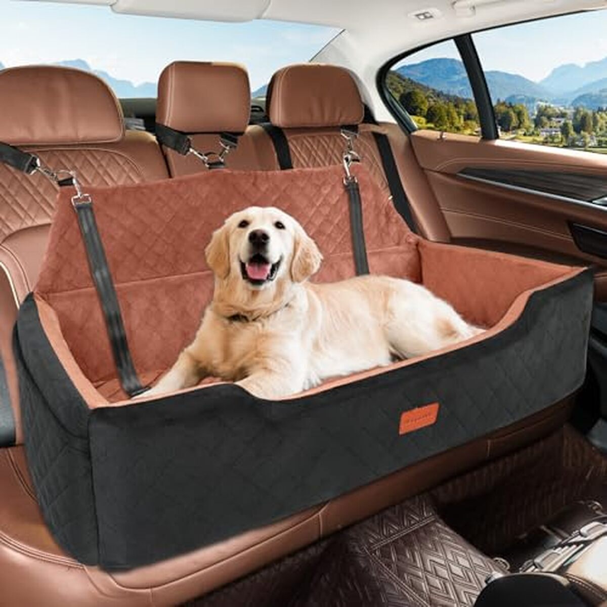 Test du siège auto lavable Heggcooe pour chiens jusqu'à 45 kg