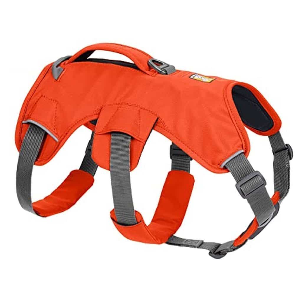 Test harnais Ruffwear Web Master anti-échappement pour chien