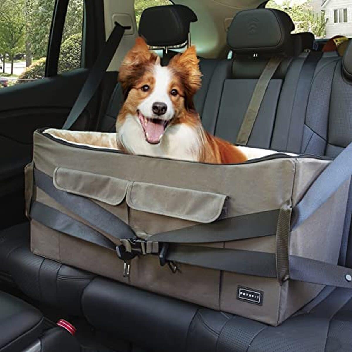 Test : siège auto Petsfit pour chiens, confort et sécurité
