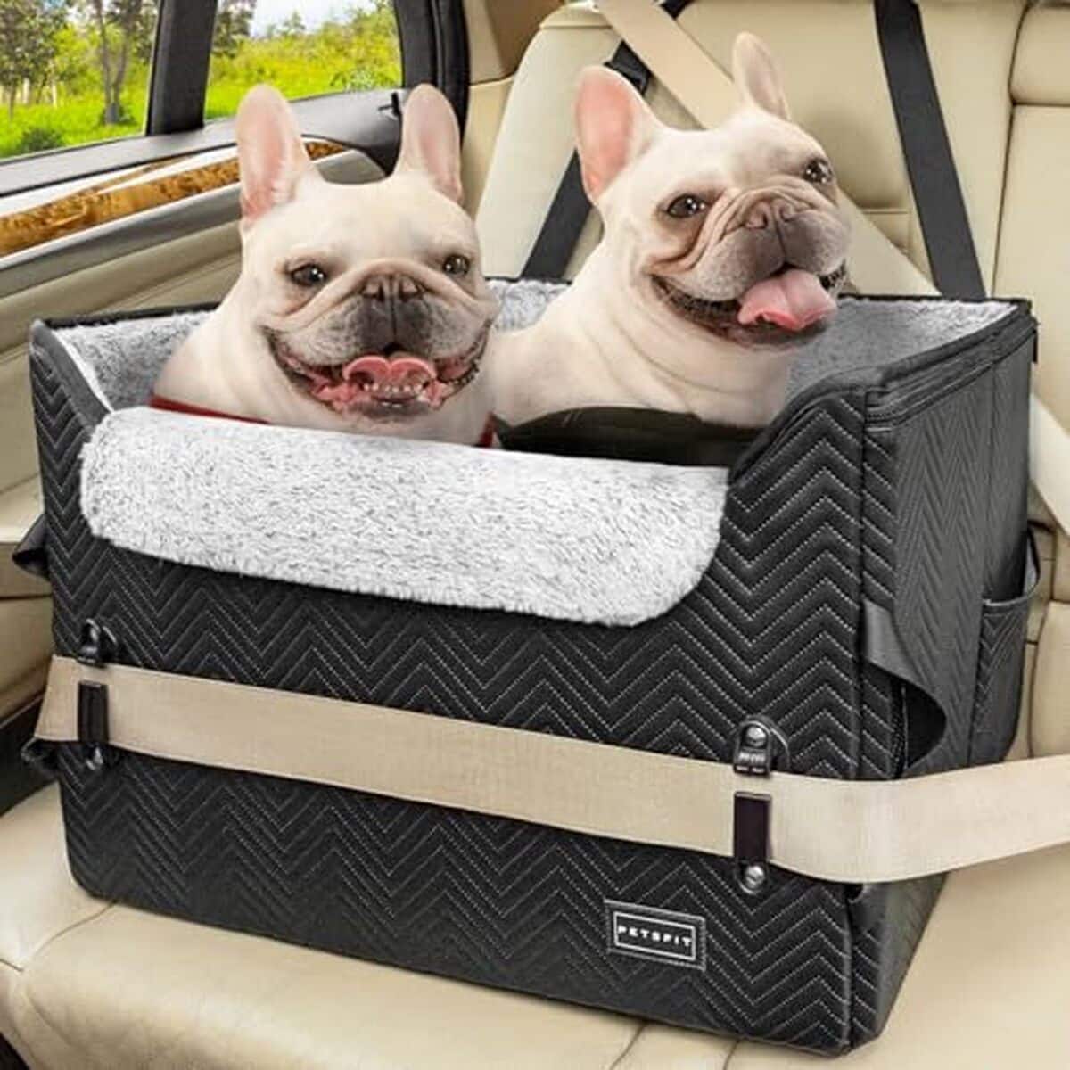 Test : siège de voiture Petsfit pour chien, cuir synthétique et sécurité renforcée