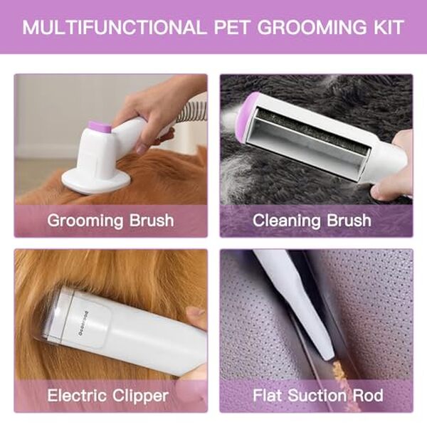 Explorez notre analyse complète du kit d'aspiration et tondeuse pour chien : une solution innovante qui allie silence et efficacité pour le bien-être de votre animal de compagnie