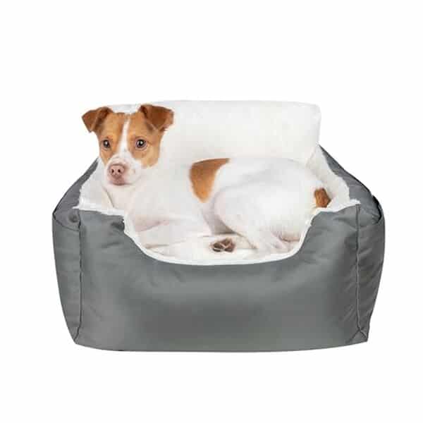 Découvrez notre test complet du siège rehausseur Best Pet Supplies conçu pour offrir confort et sécurité aux chiens petits et moyens lors de vos trajets en voiture.