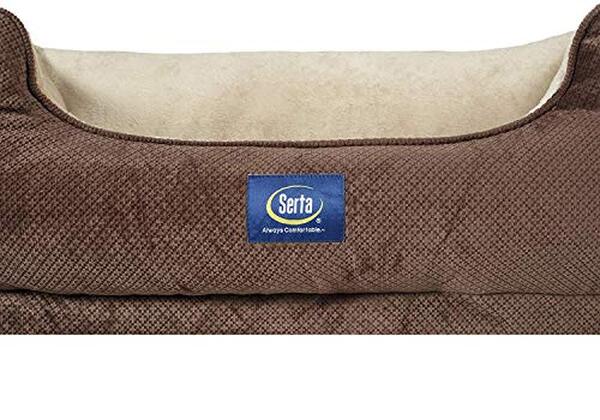 Découvrez notre évaluation approfondie du panier lit Serta pour chien : confort, design et qualité pour le bien-être de votre compagnon à quatre pattes