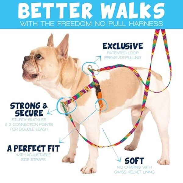 Découvrez notre test détaillé du harnais 2 Hounds Design Freedom anti-traction pour chien. Optimisez vos promenades avec ce harnais réglable et confortable.