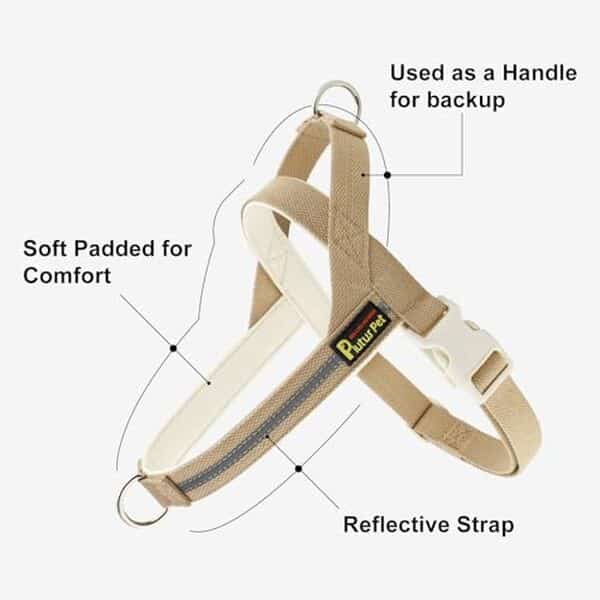 Découvrez notre test complet du harnais et laisse réfléchissants Plutus Pet taille M en beige pour assurer sécurité et style lors de vos promenades avec votre chien.