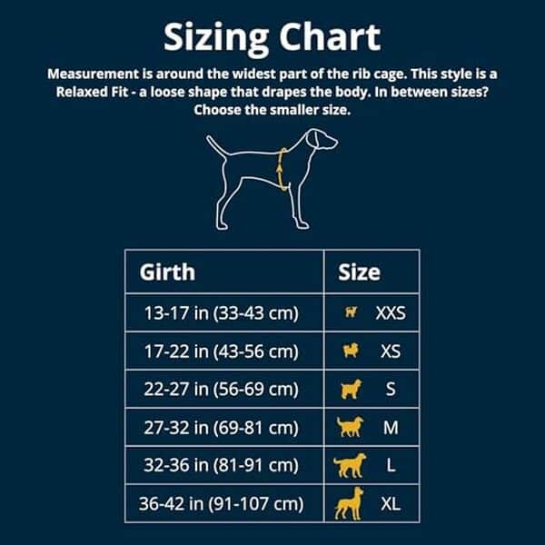 Découvrez notre test du gilet glacière Ruffwear Swamp : une solution innovante pour garder votre chien au frais pendant l'été avec style et confort.