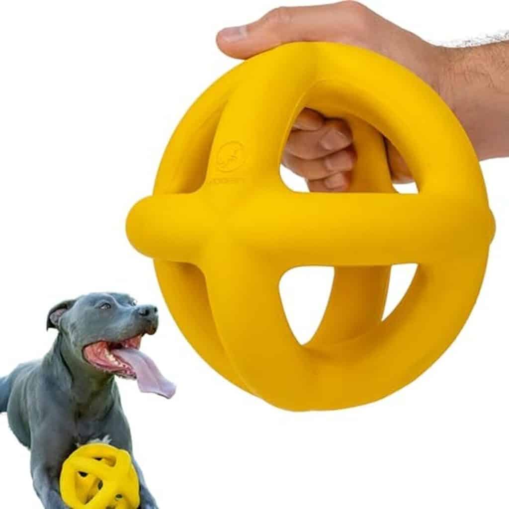 Test : balle anneau géant XL indestructible pour chiens woofBite