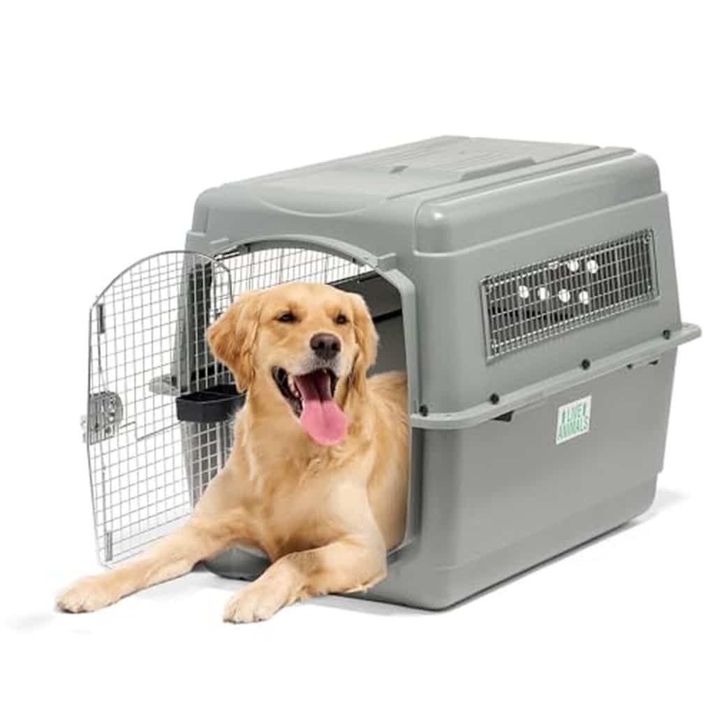 Test de la caisse de transport Beeztees Skykennel 5 pour chien de 32-41 kg