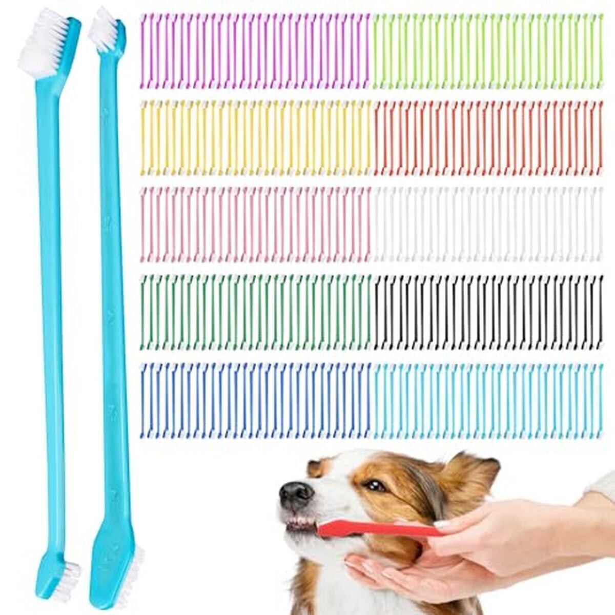 Test du kit de brosse à dents double tête pour animaux