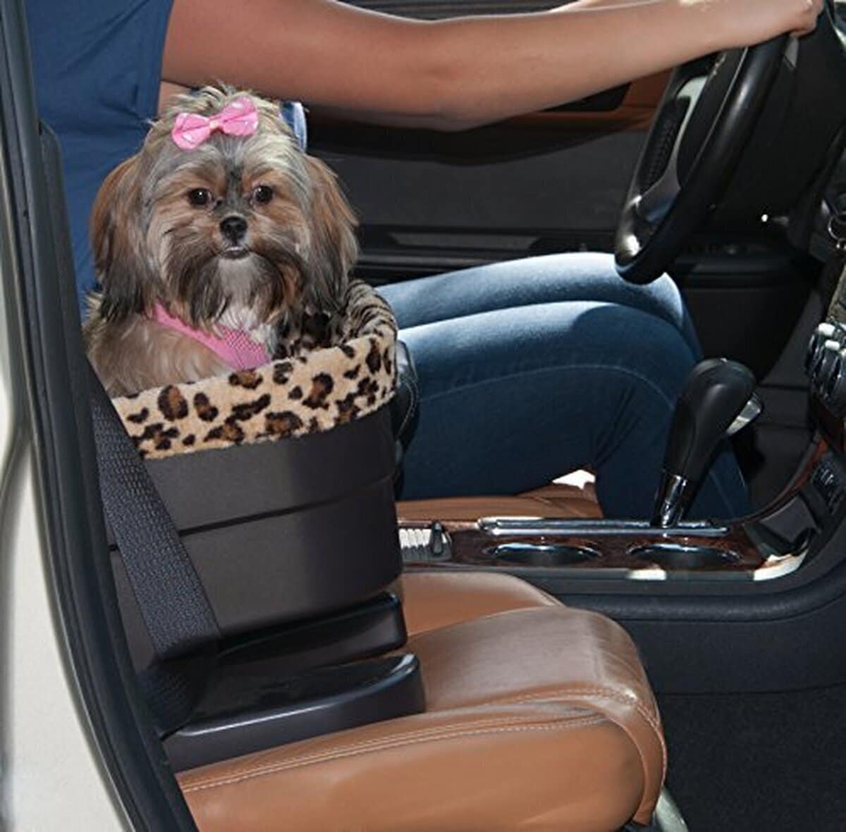 Test du siège rehausseur Pet Gear : confort et sécurité pour votre animal