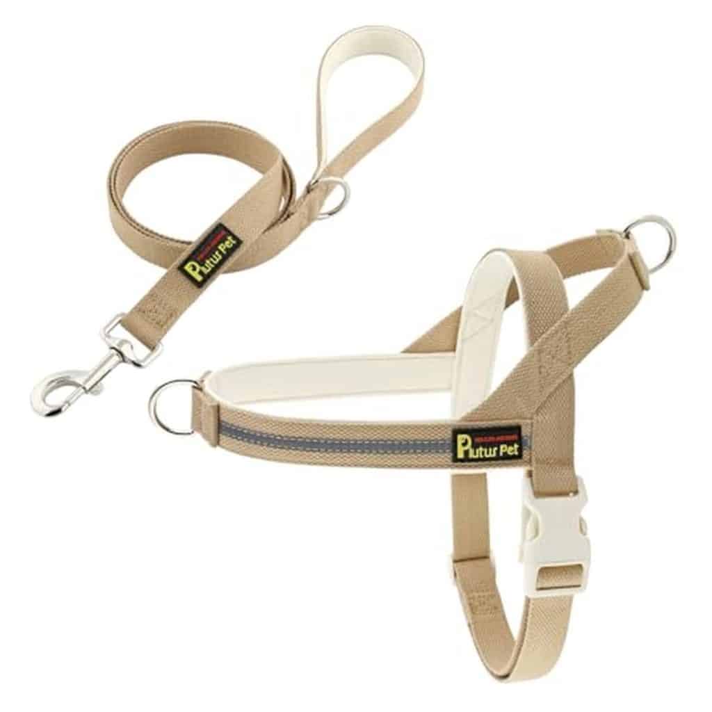 Test : harnais et laisse réfléchissants Plutus Pet, taille M, beige