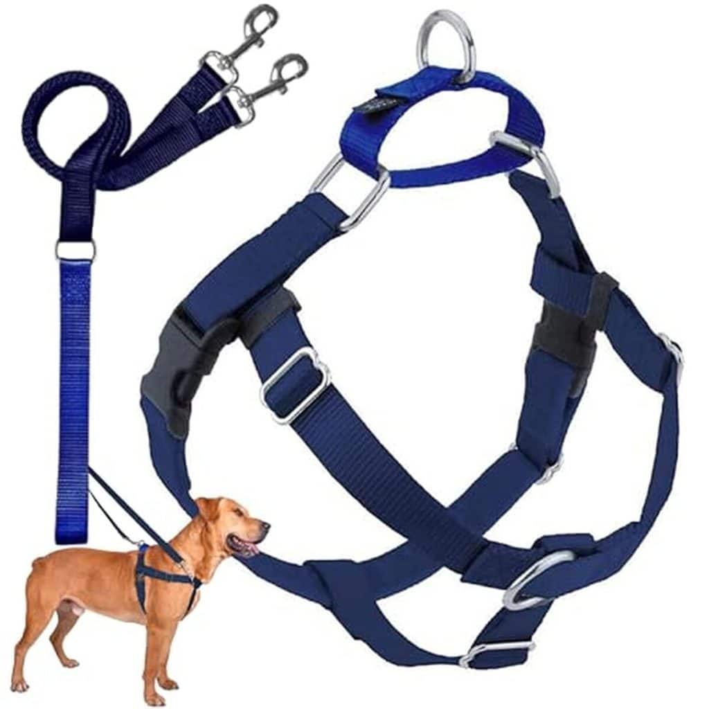 Test : harnais réglable 2 Hounds Design Freedom anti-traction pour chien