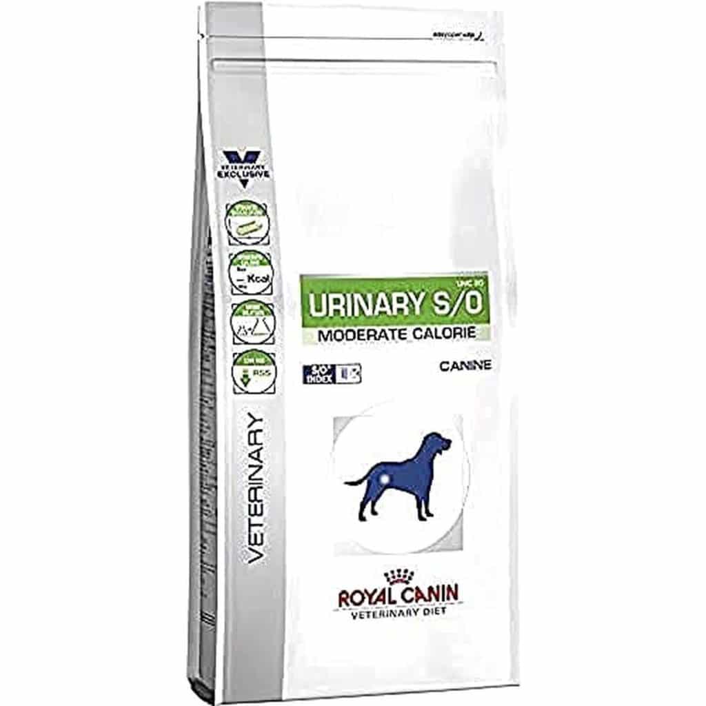 Test : royal Canin Urinary S/O UMC 20 pour chiens