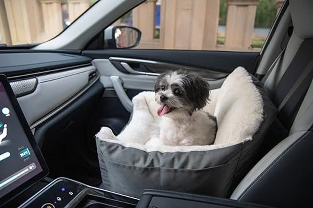 Test : siège rehausseur Best Pet Supplies pour chiens petits et moyens